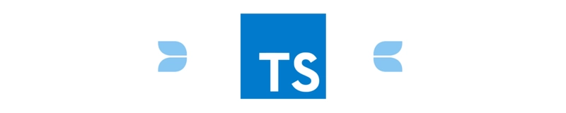 Typescript 标志