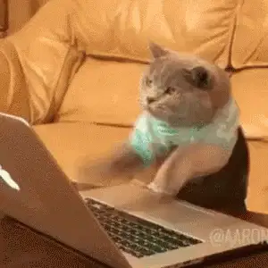 https://media.giphy.com/media/LmNwrBhejkK9EFP504/source.gif