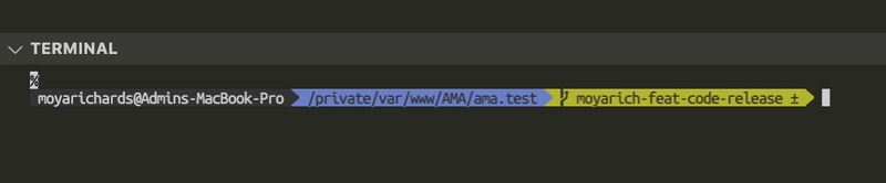 Visual Studio Code 中带有字体的终端图像