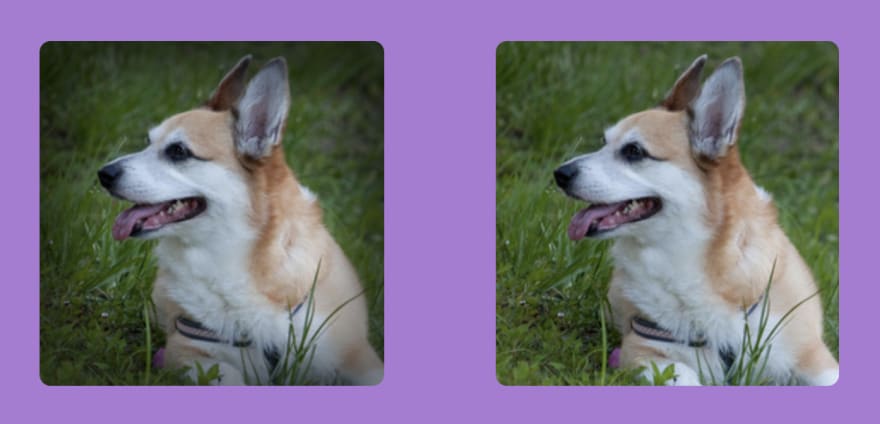 左图应用了晕影的两张图片