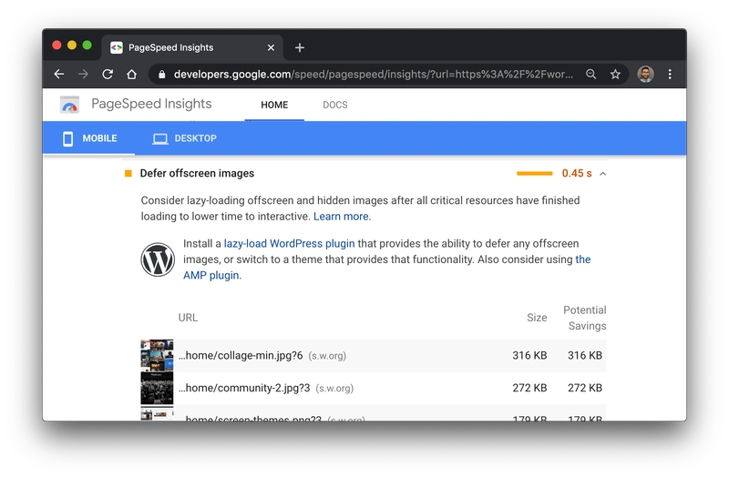 pagespeed insights wordpress