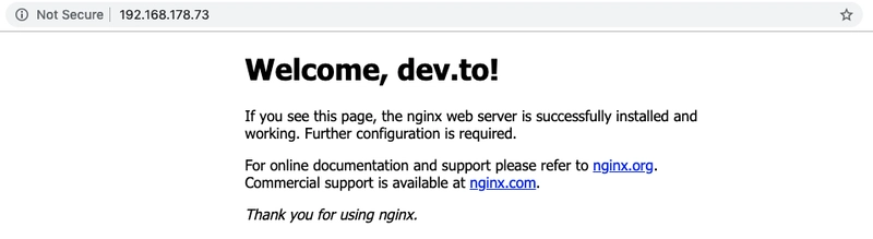 欢迎来到 Nginx 开发区。